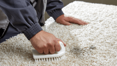 Professional Rug Cleaning Tremont