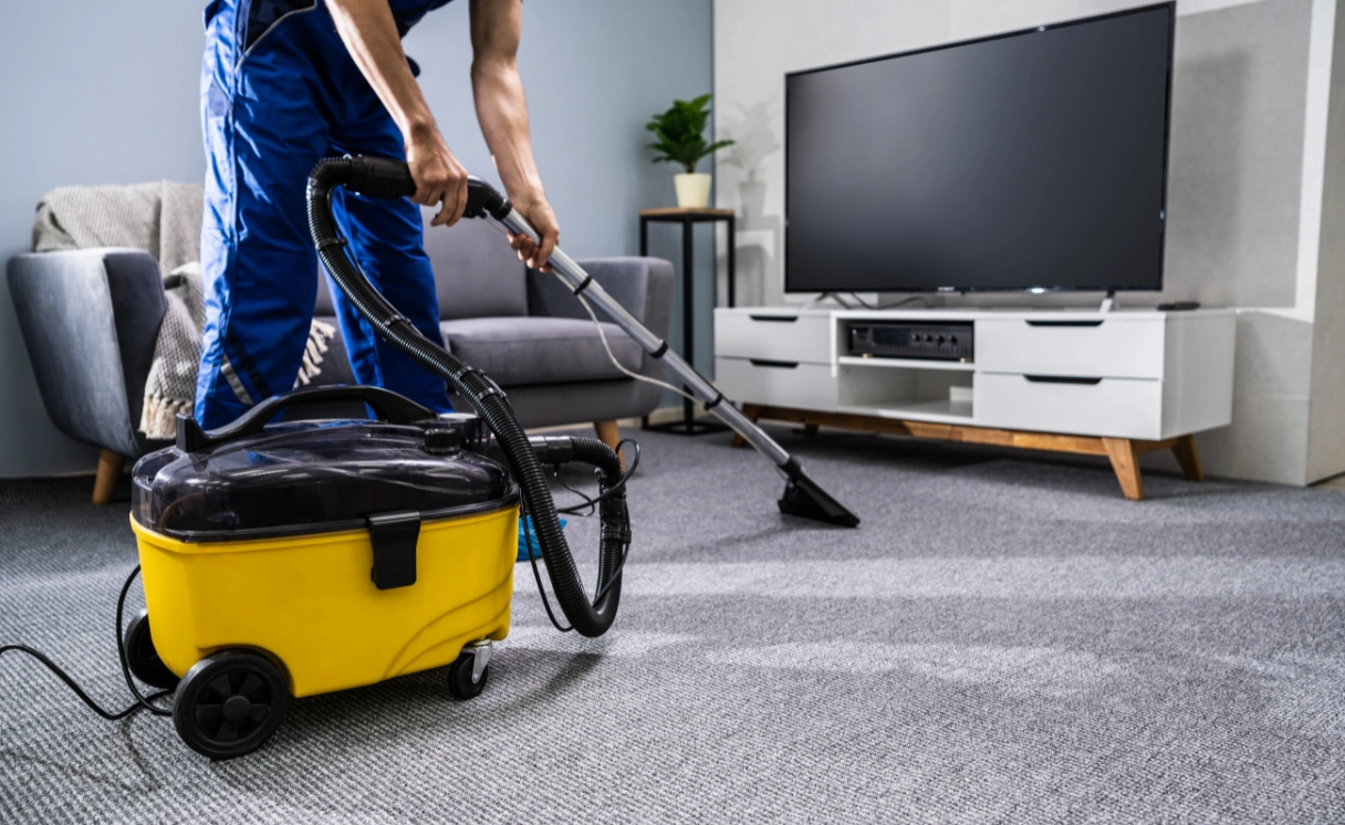 Extract Rug Cleaning Tremont Contact Office